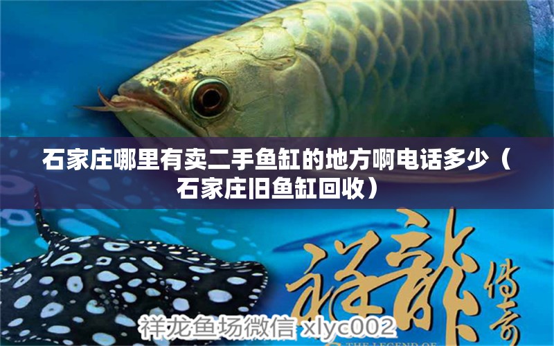 石家莊哪里有賣二手魚缸的地方啊電話多少（石家莊舊魚缸回收）