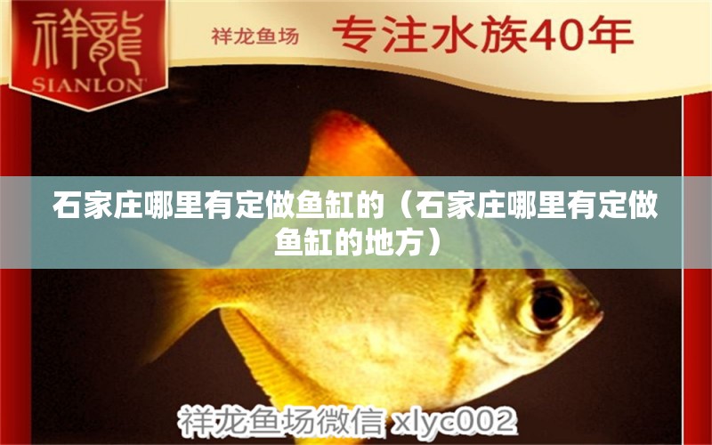 石家莊哪里有定做魚缸的（石家莊哪里有定做魚缸的地方） 觀賞魚水族批發(fā)市場