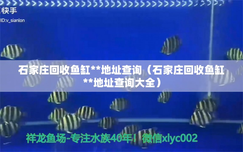 石家莊回收魚缸**地址查詢（石家莊回收魚缸**地址查詢大全） 魚缸水質(zhì)穩(wěn)定劑