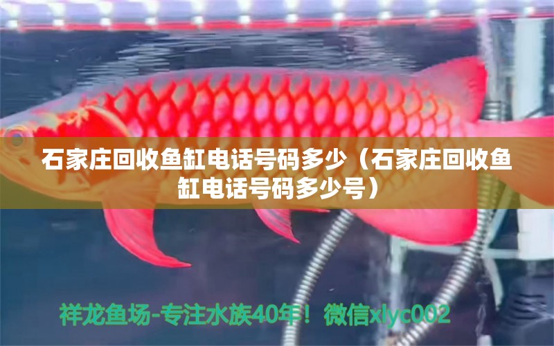 石家莊回收魚缸電話號(hào)碼多少（石家莊回收魚缸電話號(hào)碼多少號(hào)）