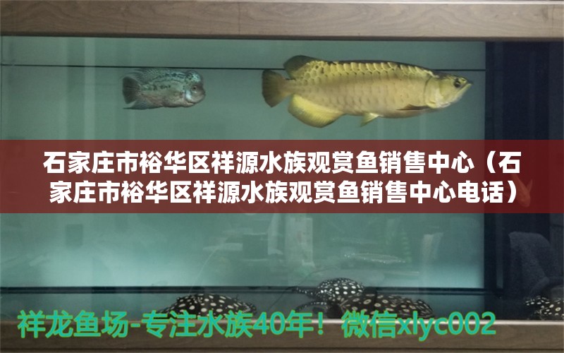 石家莊市裕華區(qū)祥源水族觀賞魚(yú)銷(xiāo)售中心（石家莊市裕華區(qū)祥源水族觀賞魚(yú)銷(xiāo)售中心電話）