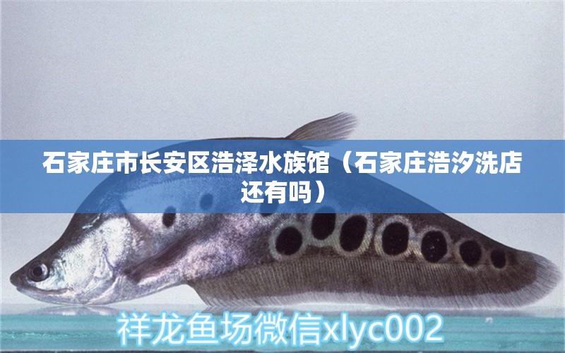 石家莊市長(zhǎng)安區(qū)浩澤水族館（石家莊浩汐洗店還有嗎）