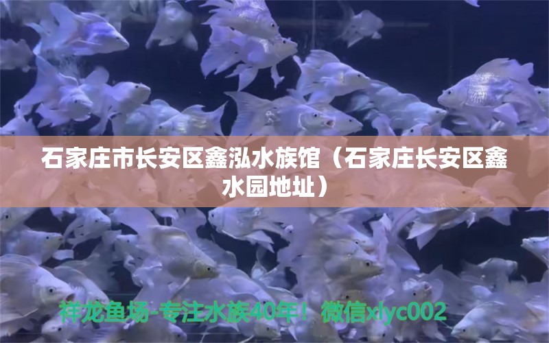 石家莊市長安區(qū)鑫泓水族館（石家莊長安區(qū)鑫水園地址） 全國水族館企業(yè)名錄