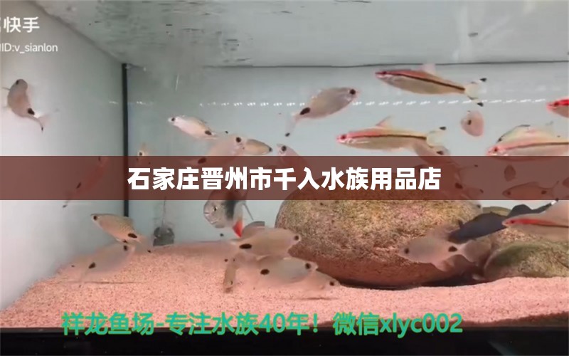 石家莊晉州市千入水族用品店 水族用品