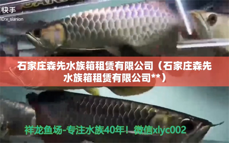 石家莊森先水族箱租賃有限公司（石家莊森先水族箱租賃有限公司**）