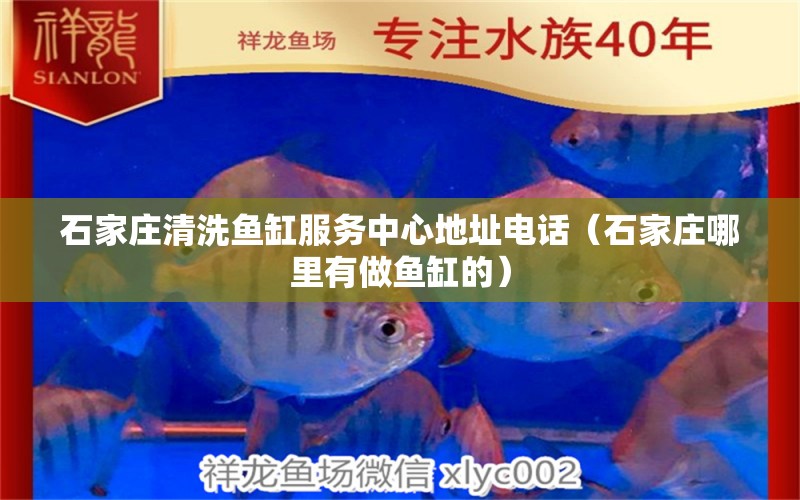 石家莊清洗魚缸服務中心地址電話（石家莊哪里有做魚缸的） 其他品牌魚缸