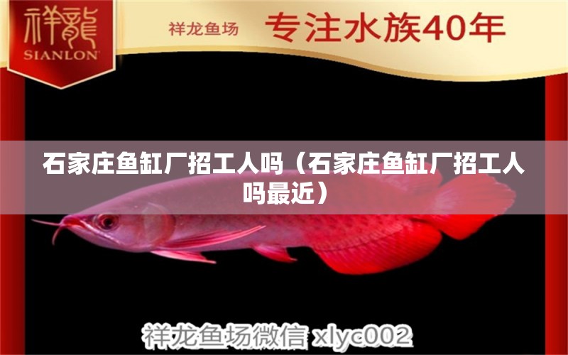 石家莊魚缸廠招工人嗎（石家莊魚缸廠招工人嗎最近）