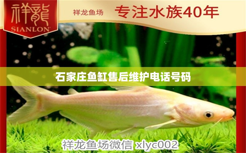 石家莊魚缸售后維護(hù)電話號碼 其他品牌魚缸