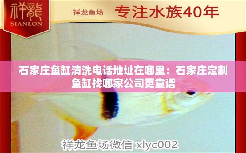 石家莊魚缸清洗電話地址在哪里：石家莊定制魚缸找哪家公司更靠譜