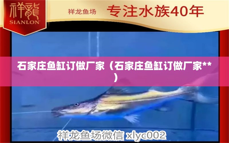 石家莊魚缸訂做廠家（石家莊魚缸訂做廠家**） 廣州龍魚批發(fā)市場