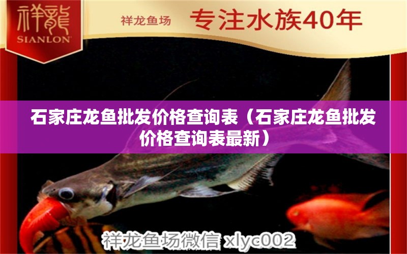 石家莊龍魚批發(fā)價格查詢表（石家莊龍魚批發(fā)價格查詢表最新）