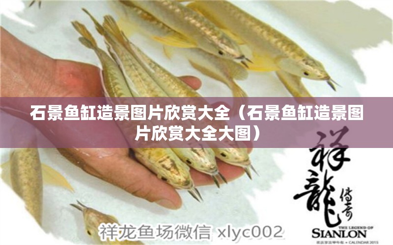 石景魚缸造景圖片欣賞大全（石景魚缸造景圖片欣賞大全大圖）