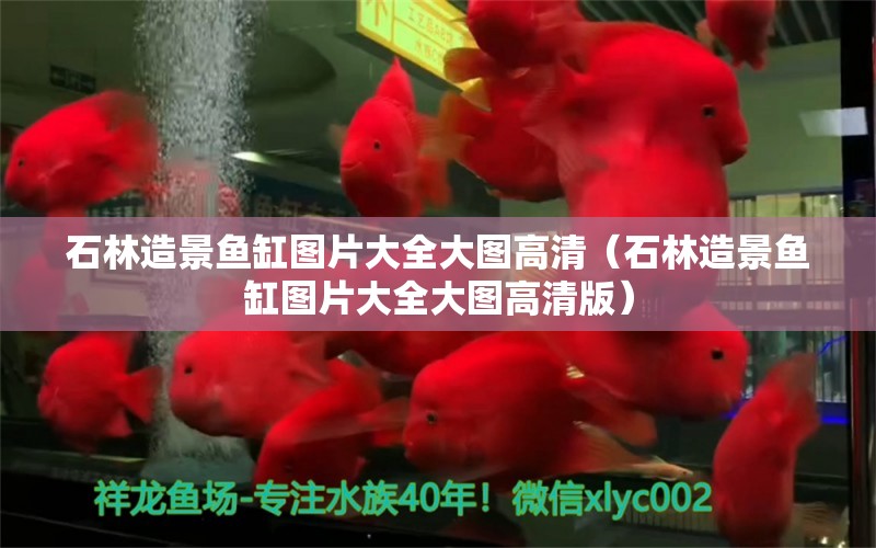 石林造景魚缸圖片大全大圖高清（石林造景魚缸圖片大全大圖高清版）