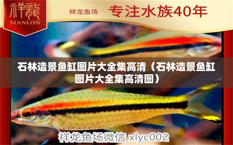 石林造景魚缸圖片大全集高清（石林造景魚缸圖片大全集高清圖）