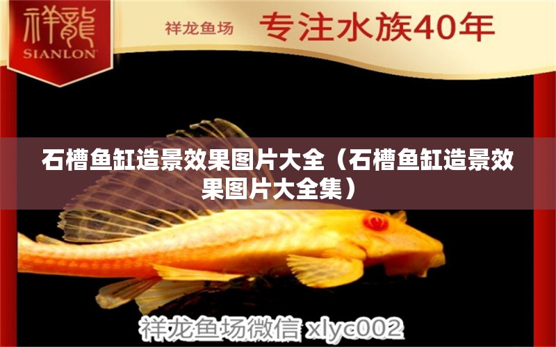 石槽魚缸造景效果圖片大全（石槽魚缸造景效果圖片大全集） 觀賞魚市場(chǎng)（混養(yǎng)魚）