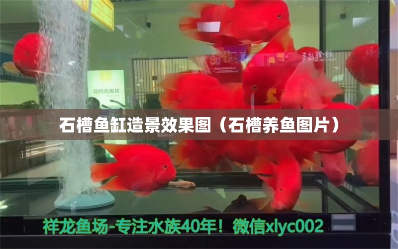 石槽魚缸造景效果圖（石槽養(yǎng)魚圖片） 胭脂孔雀龍魚