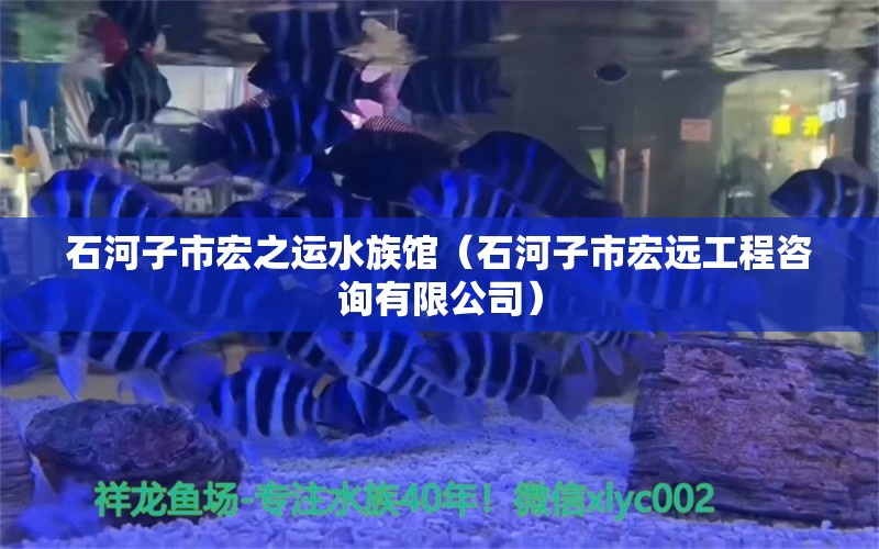 石河子市宏之運水族館（石河子市宏遠工程咨詢有限公司）