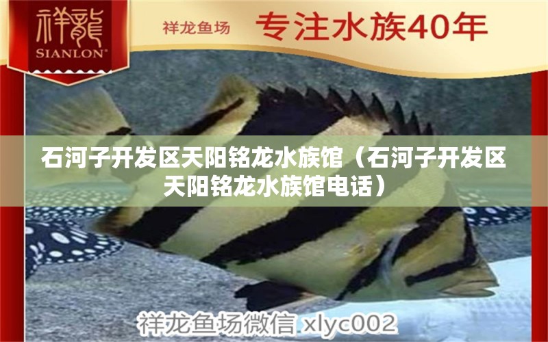 石河子開發(fā)區(qū)天陽銘龍水族館（石河子開發(fā)區(qū)天陽銘龍水族館電話） 全國水族館企業(yè)名錄