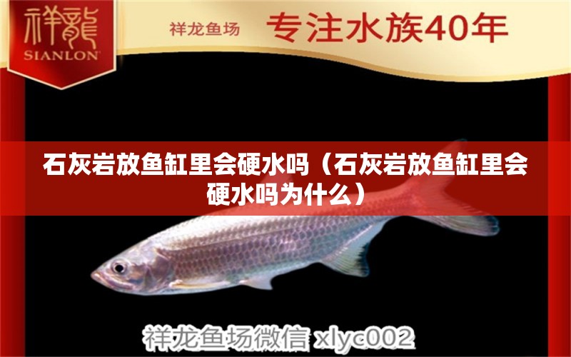 石灰?guī)r放魚缸里會硬水嗎（石灰?guī)r放魚缸里會硬水嗎為什么） 其他品牌魚缸