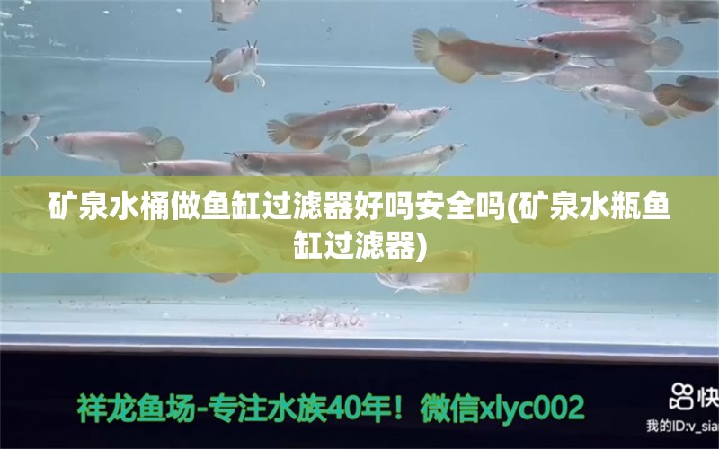 礦泉水桶做魚缸過濾器好嗎安全嗎(礦泉水瓶魚缸過濾器) 白子銀龍苗（黃化銀龍苗）