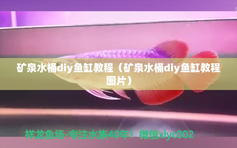 礦泉水桶diy魚(yú)缸教程（礦泉水桶diy魚(yú)缸教程圖片）