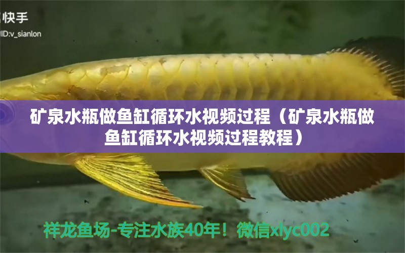 礦泉水瓶做魚缸循環(huán)水視頻過程（礦泉水瓶做魚缸循環(huán)水視頻過程教程）