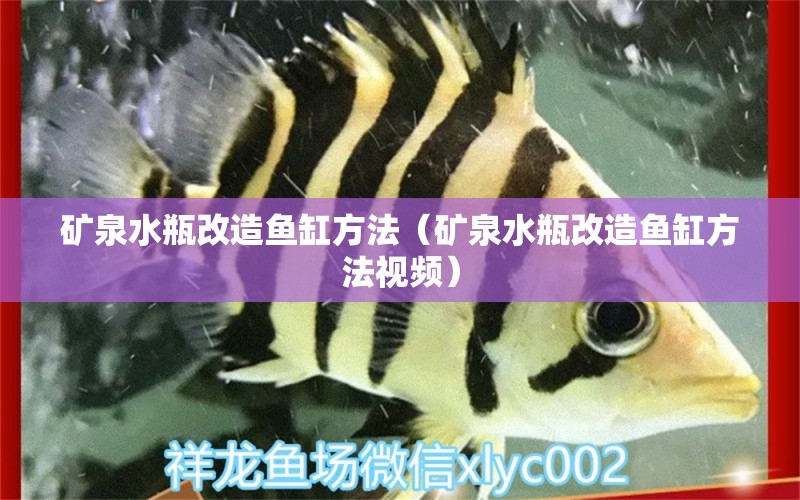 礦泉水瓶改造魚缸方法（礦泉水瓶改造魚缸方法視頻） 黑白雙星