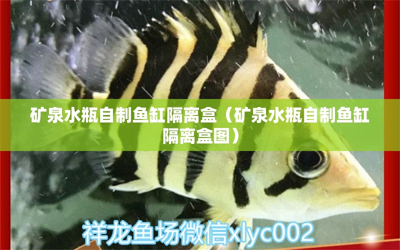 礦泉水瓶自制魚缸隔離盒（礦泉水瓶自制魚缸隔離盒圖） 祥龍水族醫(yī)院