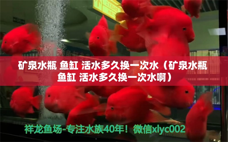 礦泉水瓶 魚缸 活水多久換一次水（礦泉水瓶 魚缸 活水多久換一次水?。? title=