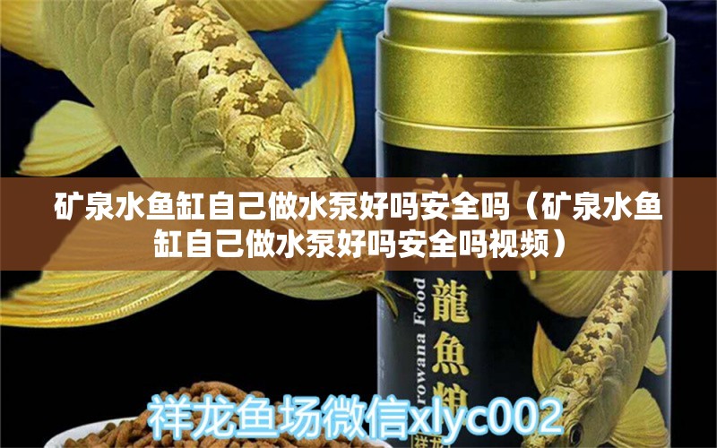 礦泉水魚缸自己做水泵好嗎安全嗎（礦泉水魚缸自己做水泵好嗎安全嗎視頻） 海水魚（海水魚批發(fā)）