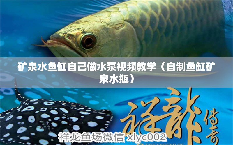 礦泉水魚缸自己做水泵視頻教學(xué)（自制魚缸礦泉水瓶）