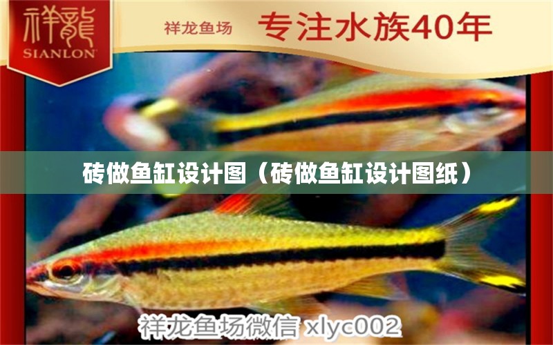 磚做魚缸設(shè)計圖（磚做魚缸設(shè)計圖紙）