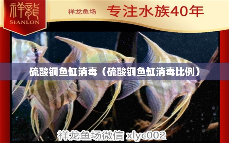 硫酸銅魚缸消毒（硫酸銅魚缸消毒比例）