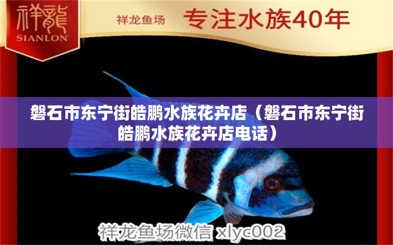 磐石市東寧街皓鵬水族花卉店（磐石市東寧街皓鵬水族花卉店電話）