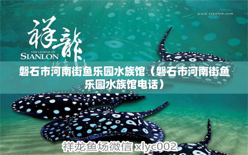 磐石市河南街魚樂(lè)園水族館（磐石市河南街魚樂(lè)園水族館電話）