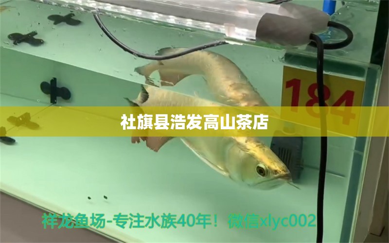 社旗縣浩發(fā)高山茶店 全國(guó)水族館企業(yè)名錄