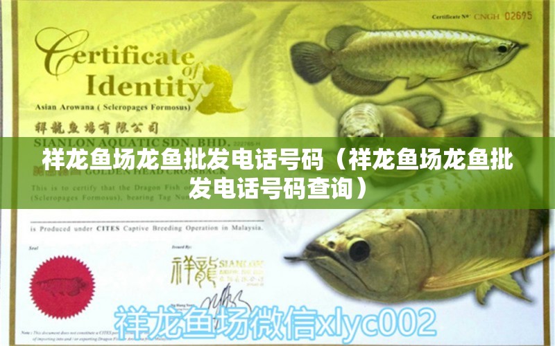 祥龍魚場龍魚批發(fā)電話號碼（祥龍魚場龍魚批發(fā)電話號碼查詢） 龍魚批發(fā)