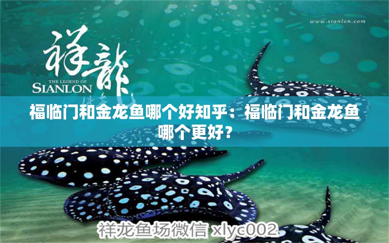 福臨門和金龍魚哪個好知乎：福臨門和金龍魚哪個更好？ 水族問答 第2張