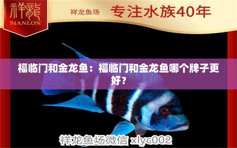 福臨門(mén)和金龍魚(yú)：福臨門(mén)和金龍魚(yú)哪個(gè)牌子更好？ 水族問(wèn)答 第2張