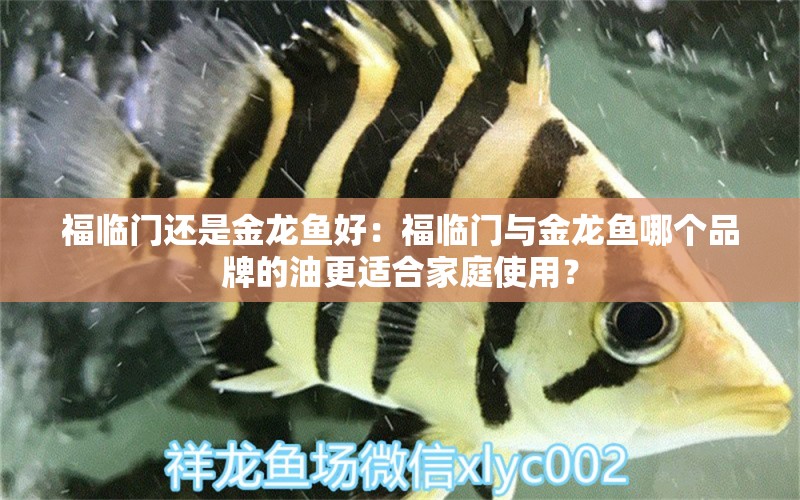 福臨門還是金龍魚好：福臨門與金龍魚哪個品牌的油更適合家庭使用？ 水族問答 第2張