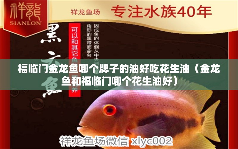 福臨門金龍魚哪個(gè)牌子的油好吃花生油（金龍魚和福臨門哪個(gè)花生油好） 龍魚百科