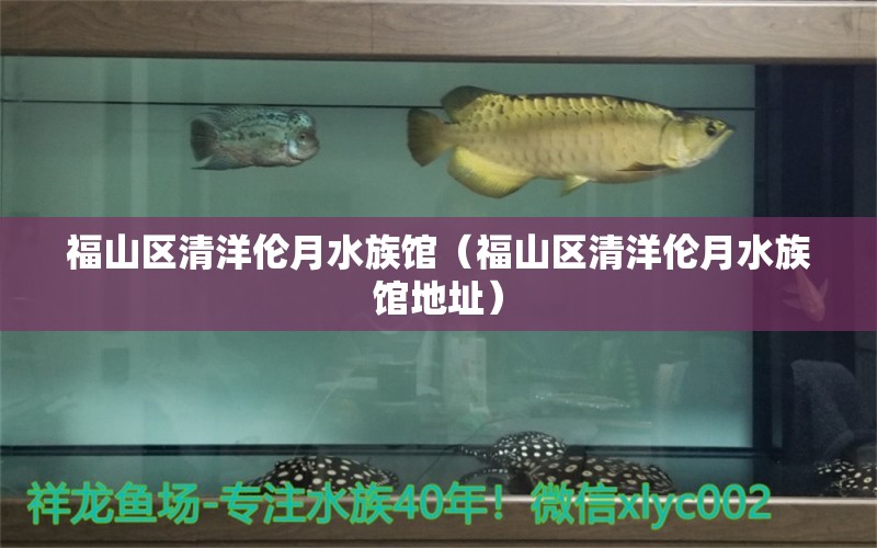 福山區(qū)清洋倫月水族館（福山區(qū)清洋倫月水族館地址）