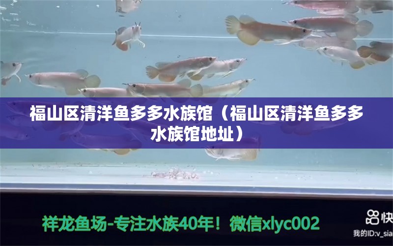 福山區(qū)清洋魚(yú)多多水族館（福山區(qū)清洋魚(yú)多多水族館地址）