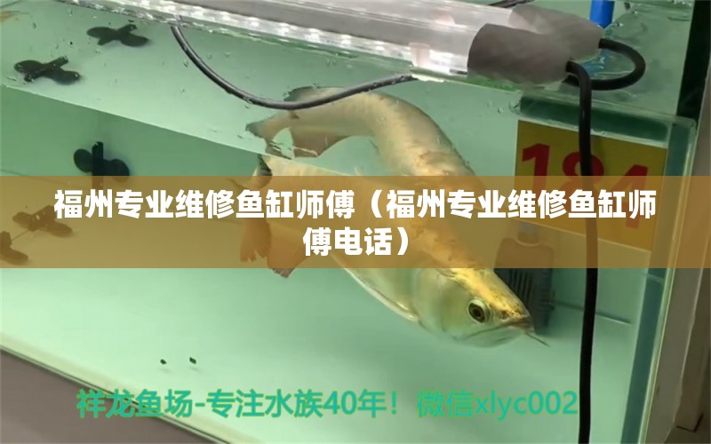 福州專業(yè)維修魚缸師傅（福州專業(yè)維修魚缸師傅電話）