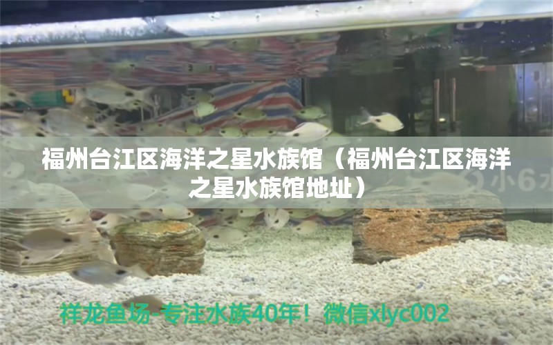 福州臺江區(qū)海洋之星水族館（福州臺江區(qū)海洋之星水族館地址）