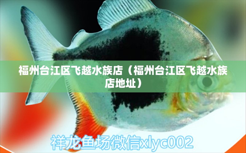 福州臺江區(qū)飛越水族店（福州臺江區(qū)飛越水族店地址） 全國水族館企業(yè)名錄