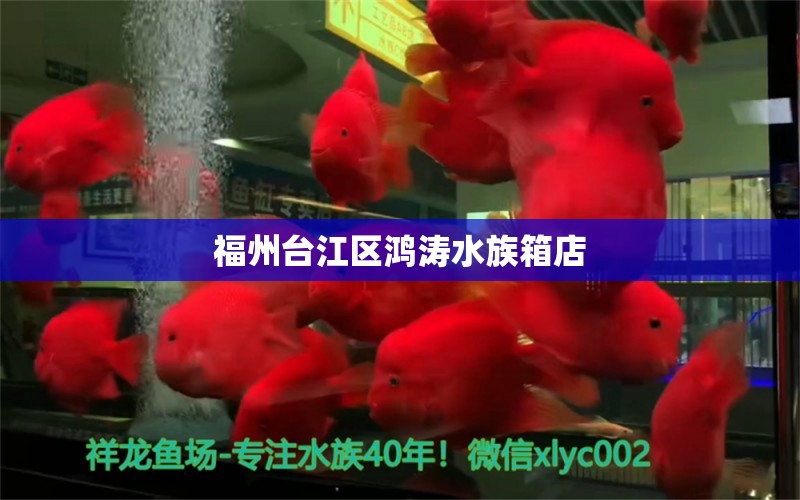 福州臺江區(qū)鴻濤水族箱店 魚缸/水族箱