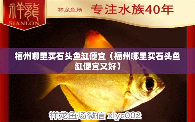 福州哪里買石頭魚缸便宜（福州哪里買石頭魚缸便宜又好） 觀賞魚市場（混養(yǎng)魚）