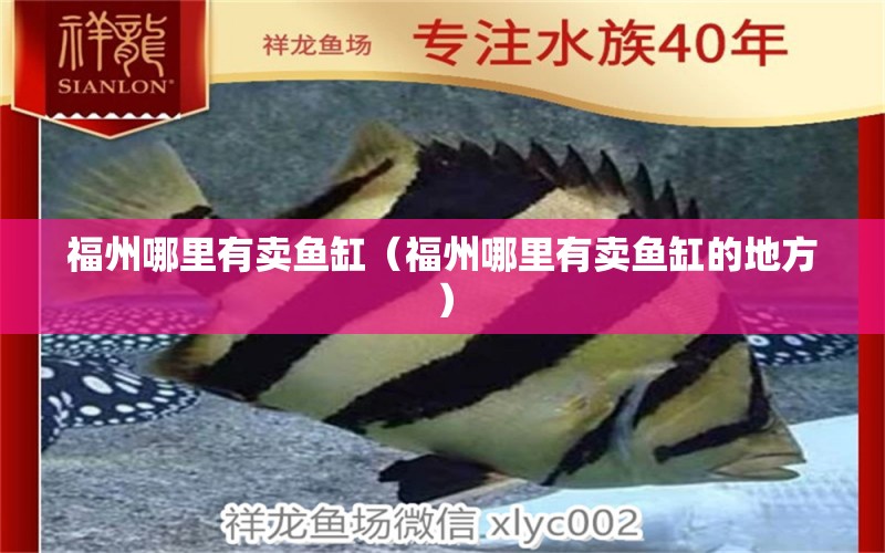 福州哪里有賣魚缸（福州哪里有賣魚缸的地方） 其他品牌魚缸