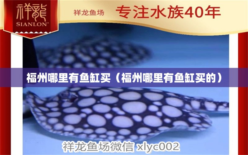 福州哪里有魚缸買（福州哪里有魚缸買的） 其他品牌魚缸